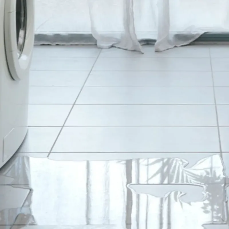 Appliance Leak Cleanup in Charlevoix, MI