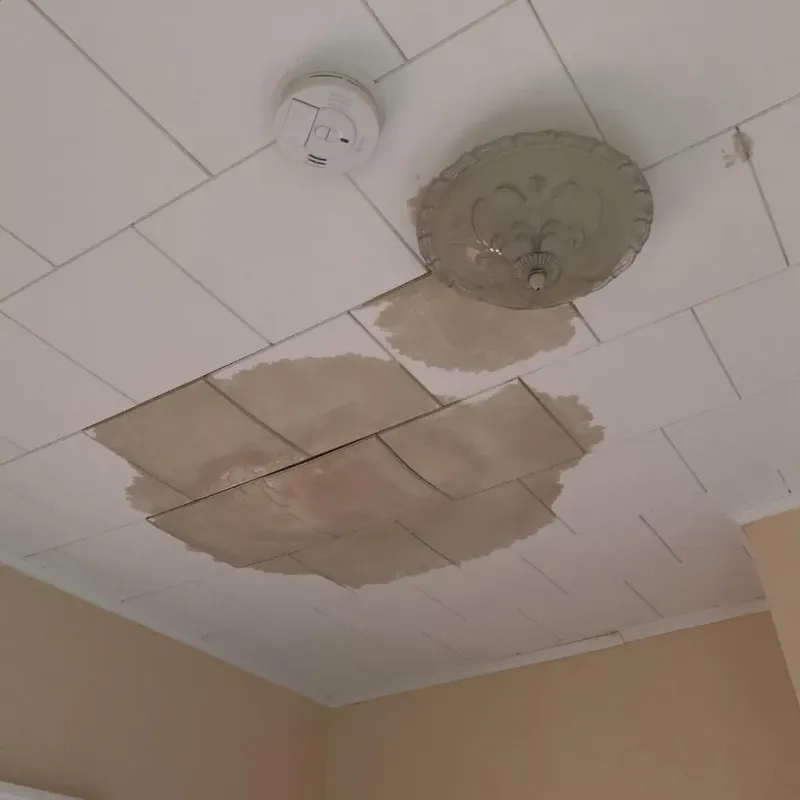 Ceiling Water Damage Repair in Charlevoix, MI