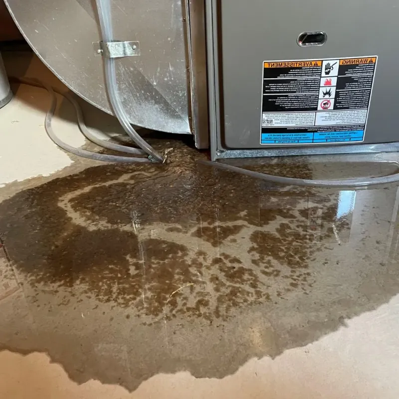 Pipe Burst and Leak Restoration in Charlevoix, MI